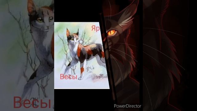 Коты воители по зз @песня барбарики смотреть онлайн