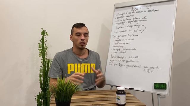 Лецитин NSP смотреть онлайн