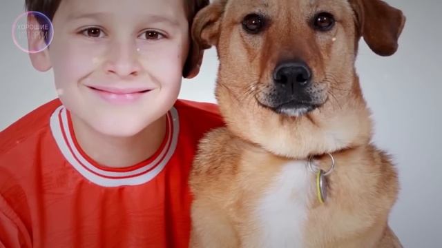 Завидный некогда жених не мог понять, как брошеная им невеста смогла так подняться и утереть нос... смотреть онлайн