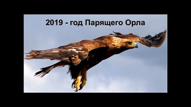 Год парящего орла 2019 смотреть онлайн