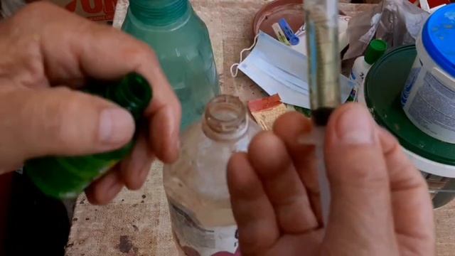 Борьба с вредителями древесины смотреть онлайн