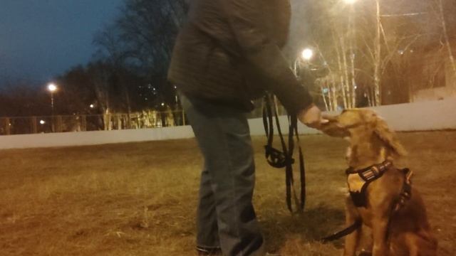 28.10.22 Выдержка в положении сидя. смотреть онлайн