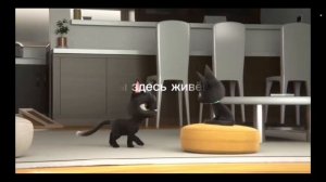 котёнка предала его хозяйка??? жил был кот