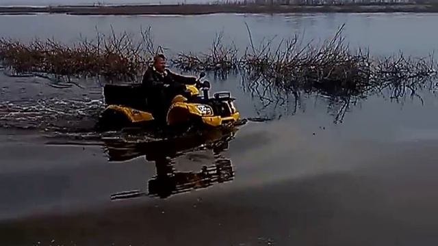 Желтая подводная лодка! смотреть онлайн