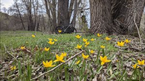 Глава из книги. Последняя ночёвка. 17 марта 19 00 МСК.