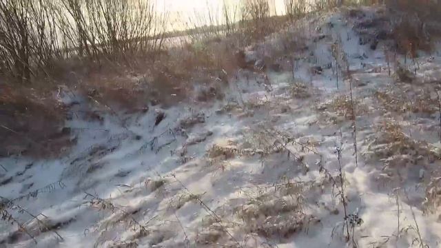 ДОБЫЧЛИВАЯ ОХОТА НА ЗАЙЦА ПО ПЕРВОМУ СНЕГУ смотреть онлайн