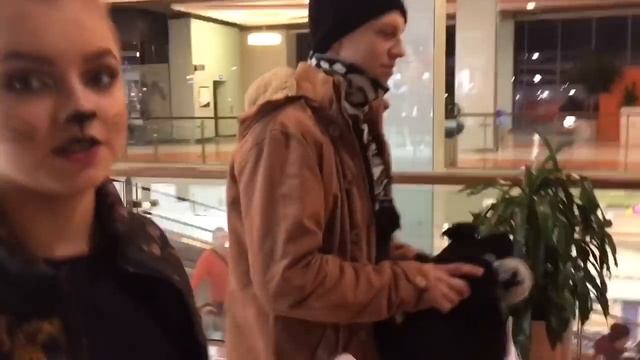 VLOG / Я КОТИК? МОЙ ПОВСЕДНЕВНЫЙ МАКИЯЖ И ПРИЧЕСКА смотреть онлайн