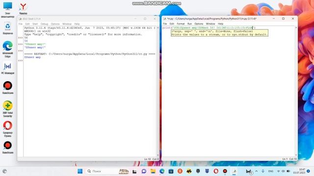 Python быстро и эффективно!|Условные операторы| Пользовательский ввод| смотреть онлайн