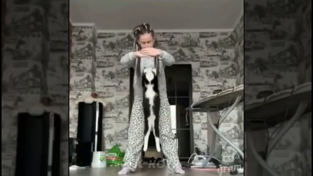 Котя Котя Самые милые животные #3 кот кошка котенок кусь cat cats смотреть онлайн