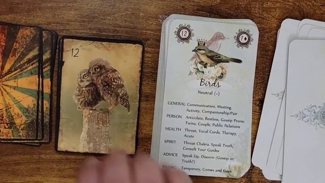 Brume Lenormand Deck UNBOXING смотреть онлайн