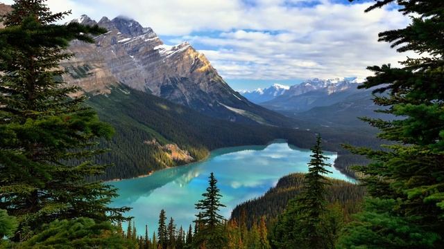 Ardent Lights. I See Light смотреть онлайн