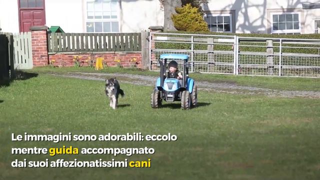 Inghilterra, bimbo di 3 anni ossessionato dai trattori spopola sul web смотреть онлайн