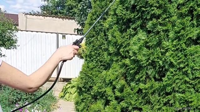 Как избавиться от паутинного клеща в саду. смотреть онлайн