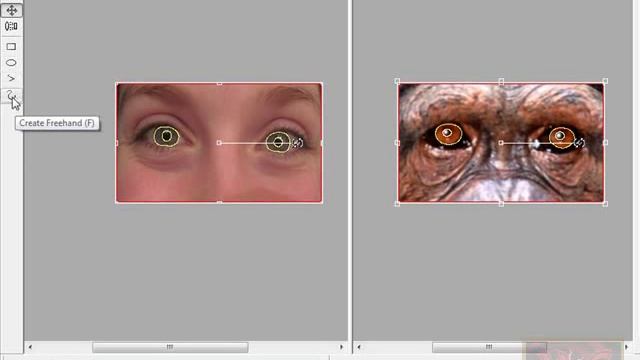 WinMorph Tutorial - Morph and Render Two Photos by VscorpianC смотреть онлайн