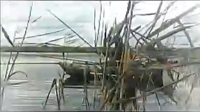 Осенняя рыбалка смотреть онлайн