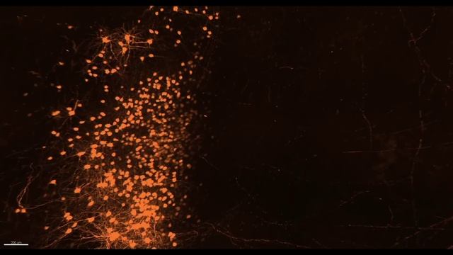 Processing emotions смотреть онлайн