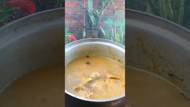 Yummy Beef Tails Cooking #cooking #beefsoup #shortsfeed