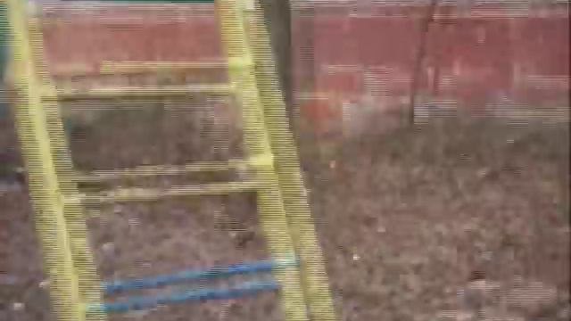 Будущие Мамы???.avi