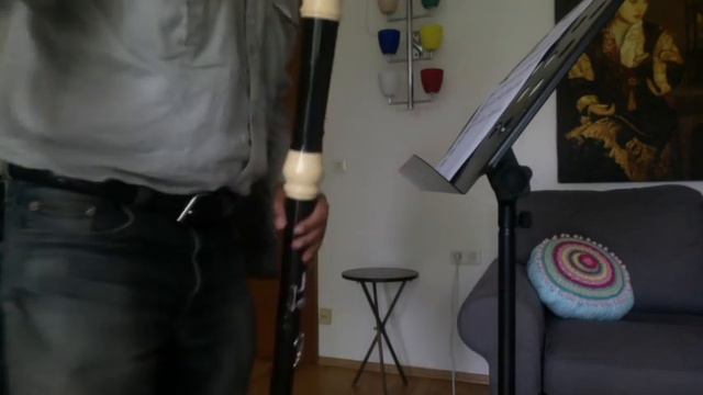 A. Bova, Ricercare settimo for bass recorder смотреть онлайн