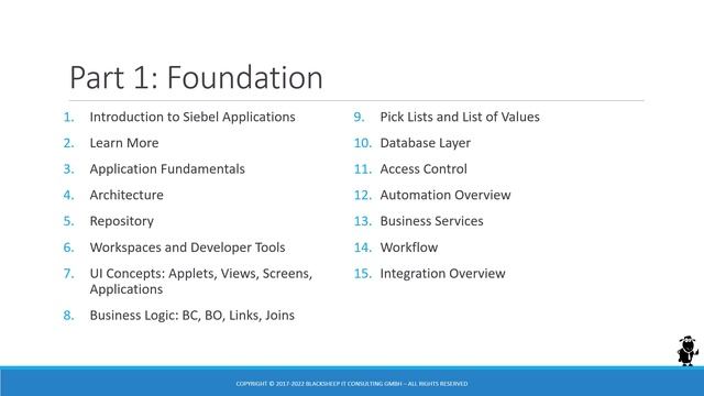 Siebel CRM Business Analyst Course Introduction - The Siebel Hub Learning Experience смотреть онлайн