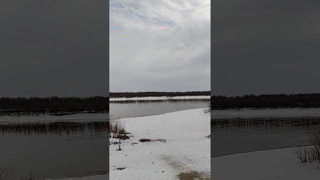 ✅Гены пальцем не раздавишь. Америка нам поможет.? Полная Люстрация! ?