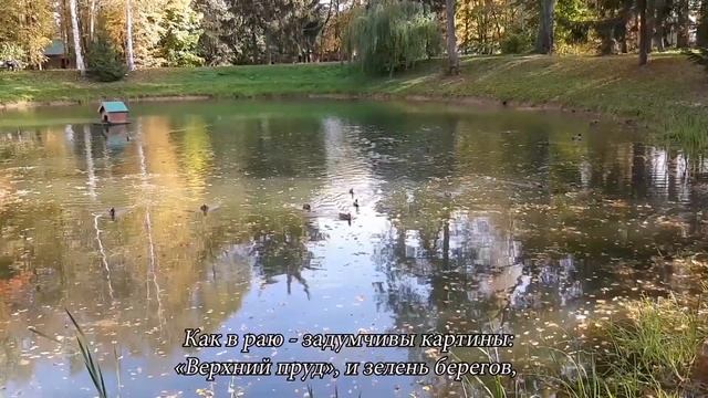 Очень красивая ОСЕНЬ В АБРАМЦЕВО смотреть онлайн