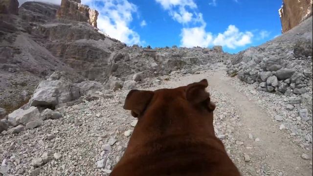 Tofana Di ROZES (Dolomiti)