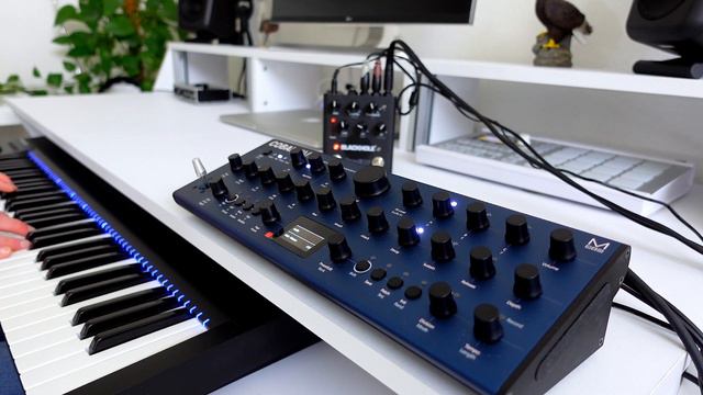 Modal Cobalt 8 Synthesizer | Play (Cobalt8m Sounds Demo; Eventide Blackhole Reverb Pedal)
