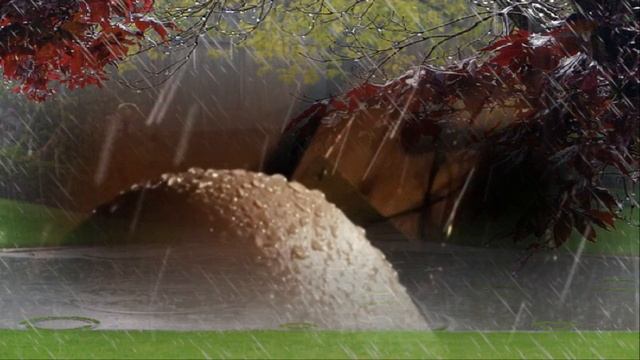 Юлия Михальчик – Лебедь Белая