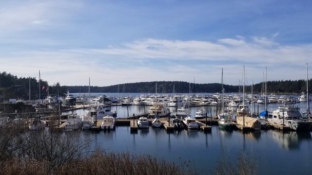 Fly To A Private Island Resort | Roche Harbor, WA | Pilot Review смотреть онлайн