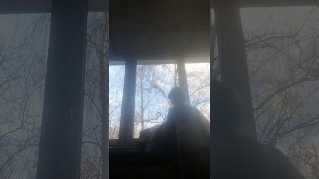 Как сделать из балкона спальню смотреть онлайн