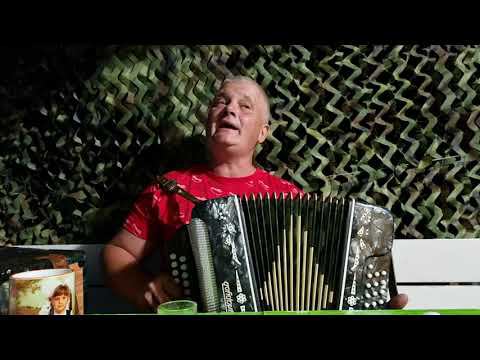 Только помни меня. Гармонь Беларусь. смотреть онлайн