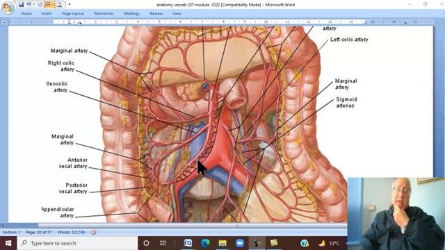 Anatomy GIT Module in English ( Superior mesenteric artery) , by Dr, Wahdan смотреть онлайн