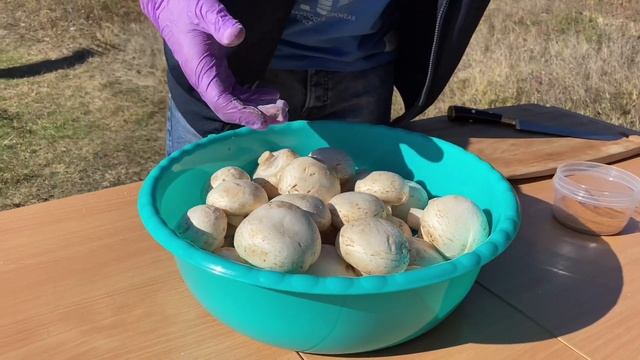 МЯСО СВИНИНА ГРИЛЬ, ГРИБЫ на МАНГАЛЕ [ENG SUB] смотреть онлайн