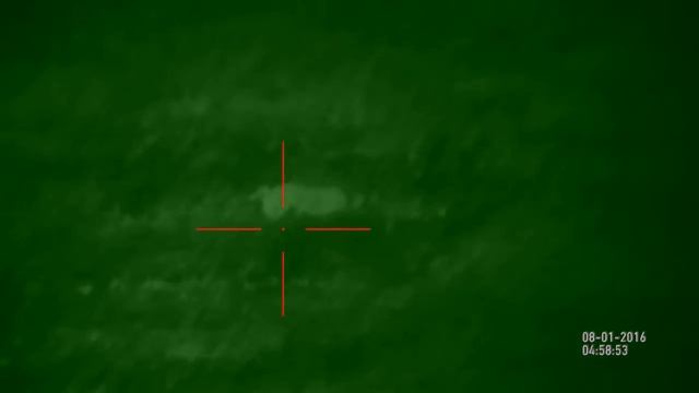 Охота в Таджикистане на лис с цифровым прицелом X-Sight! смотреть онлайн