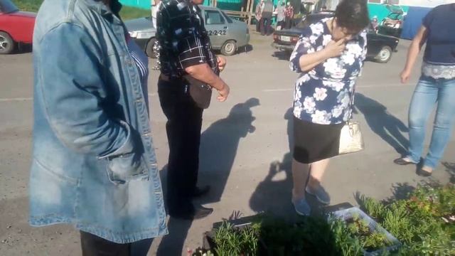 Торговля.широкий ассортимент цветов привезли покупателям смотреть онлайн