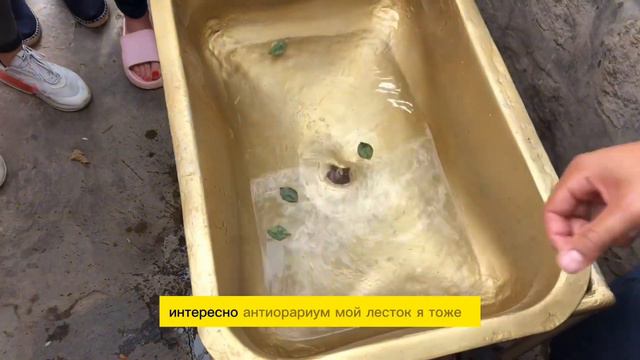 Точка 0. #экватор #эквадор #anatoliemuntean смотреть онлайн