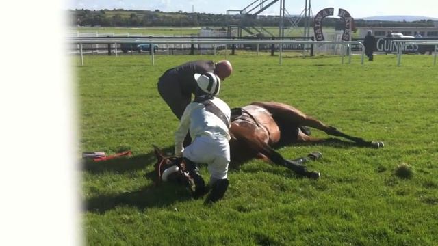 Racing horse death by accident in Galway смотреть онлайн