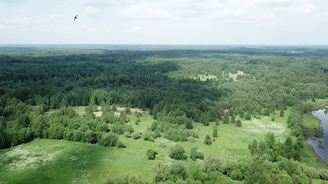 Летим в МОХНЕЦЫ