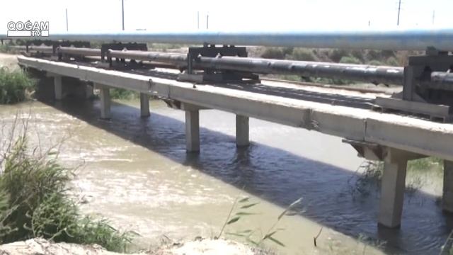 Река унесла жизнь еще одного жителя областного центра смотреть онлайн