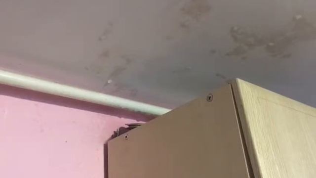 САВКОН смотреть онлайн