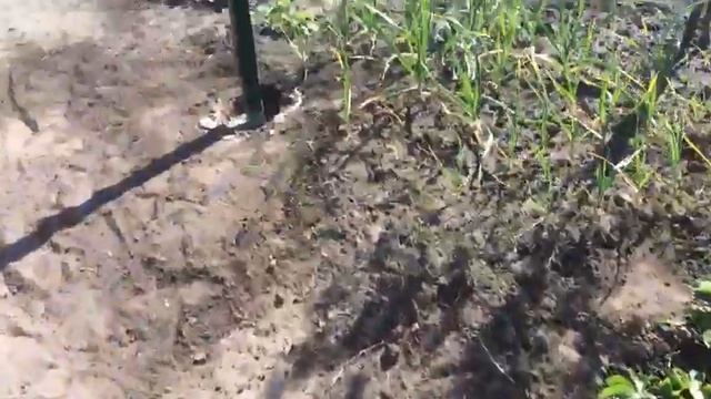 Забор из 3Д панелей продолжение. смотреть онлайн