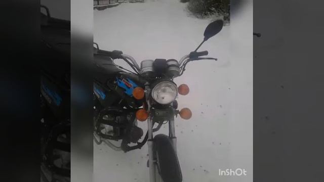Обзор альфи смотреть онлайн