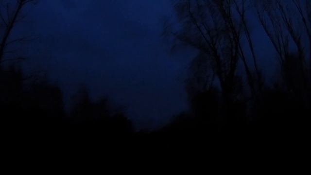 Охота на вальдшнепа. Хорошая тяга, много вальдшнепа. смотреть онлайн