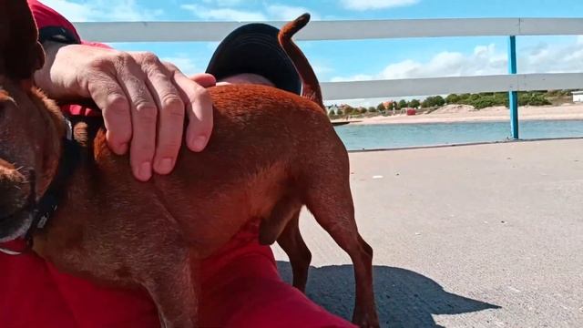 жаль удалить фото смотреть онлайн