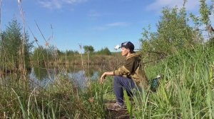 Утро. Рыбалка и фотоохота на животных))