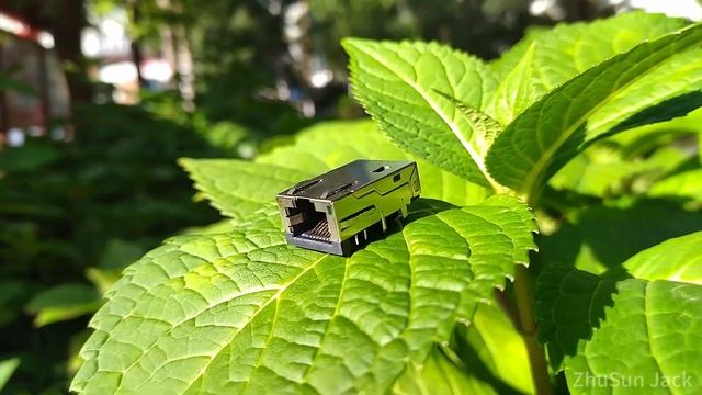 5-2301994-5 Compatible ZhuSun Jack E-mail FOR DATASHEET смотреть онлайн