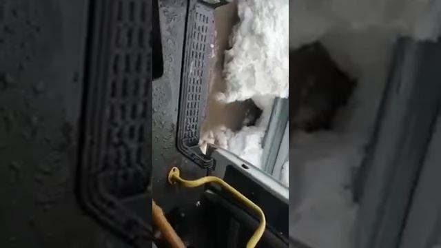 Паводки после дождей. Казахстан 2020 смотреть онлайн
