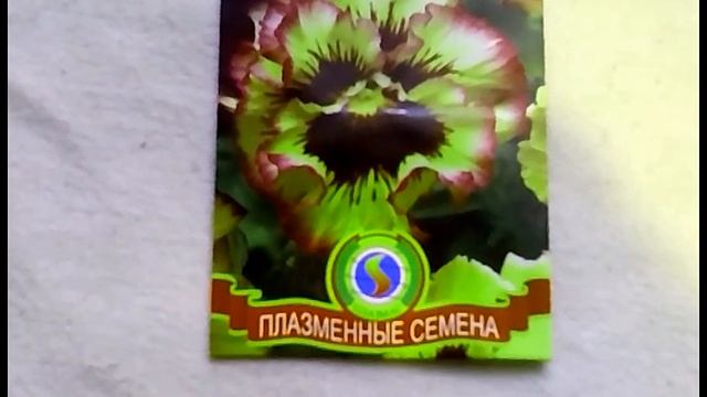 Немного о виоле!! Какие сорта в этом сезоне будут украшать мою клумбу??... смотреть онлайн