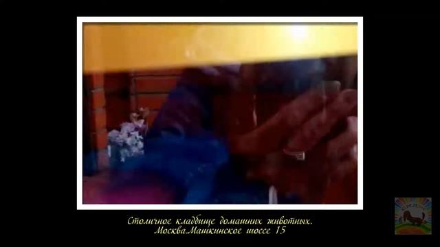 Столичное кладбище домашних животных смотреть онлайн